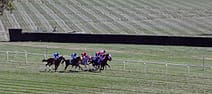 horse racing
