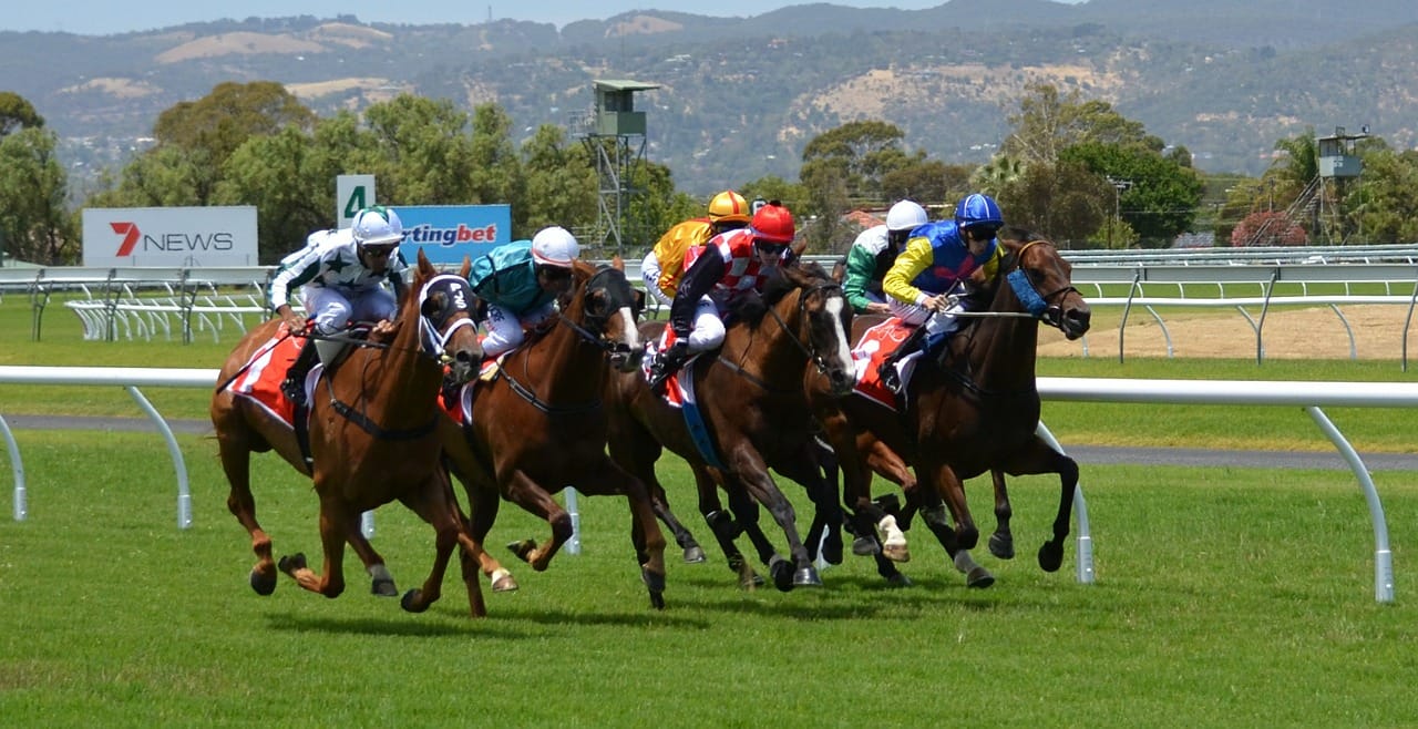 Types of Sports Betting Game